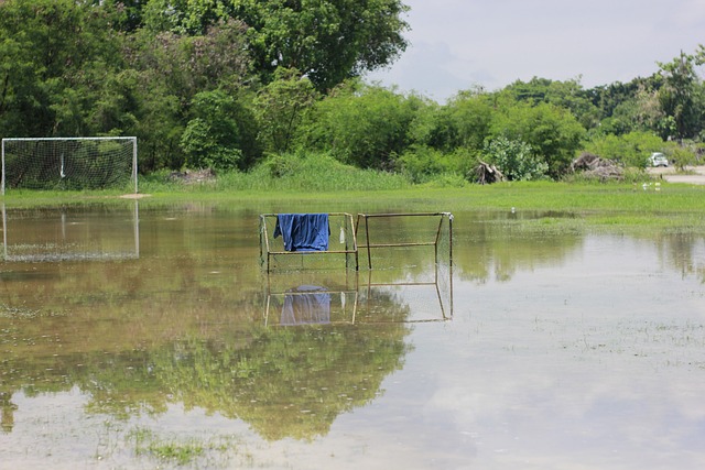 过去的经历 过去的经历