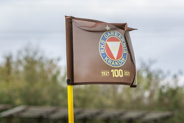 主动分享一 主动分享一