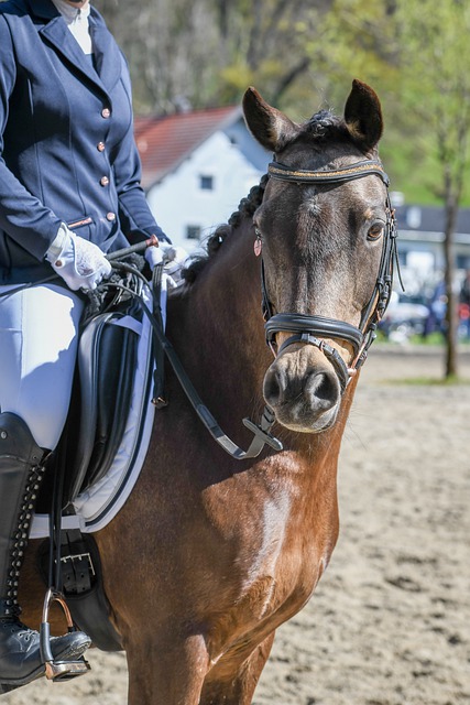 强队时的顽 强队时的顽