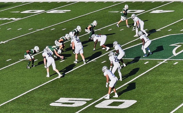 伍的成长 伍的成长