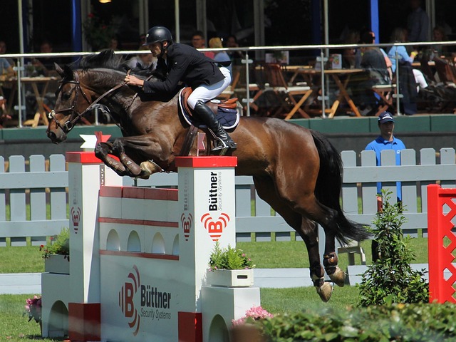 活动还是接 活动还是接