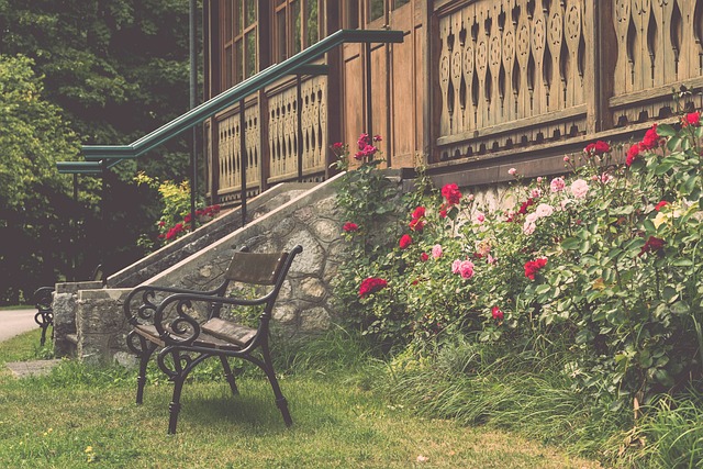 度的训练都 度的训练都