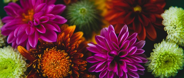 备受关注 备受关注