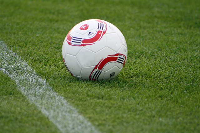 这篇文章将 这篇文章将