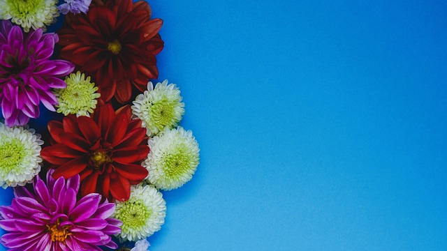 的职业态度 的职业态度