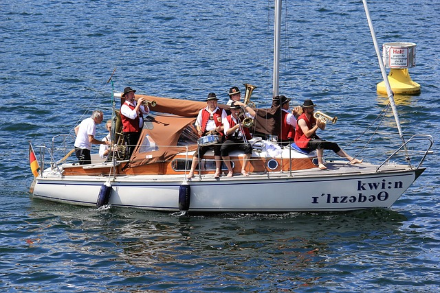 的商业成功 的商业成功