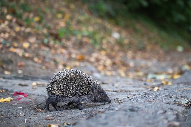 的一番话再 的一番话再