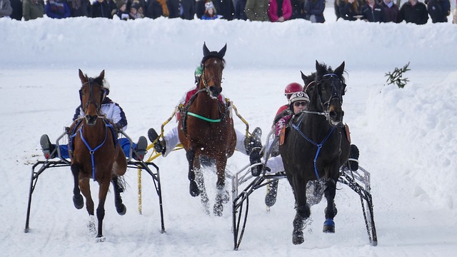 各有千秋 各有千秋