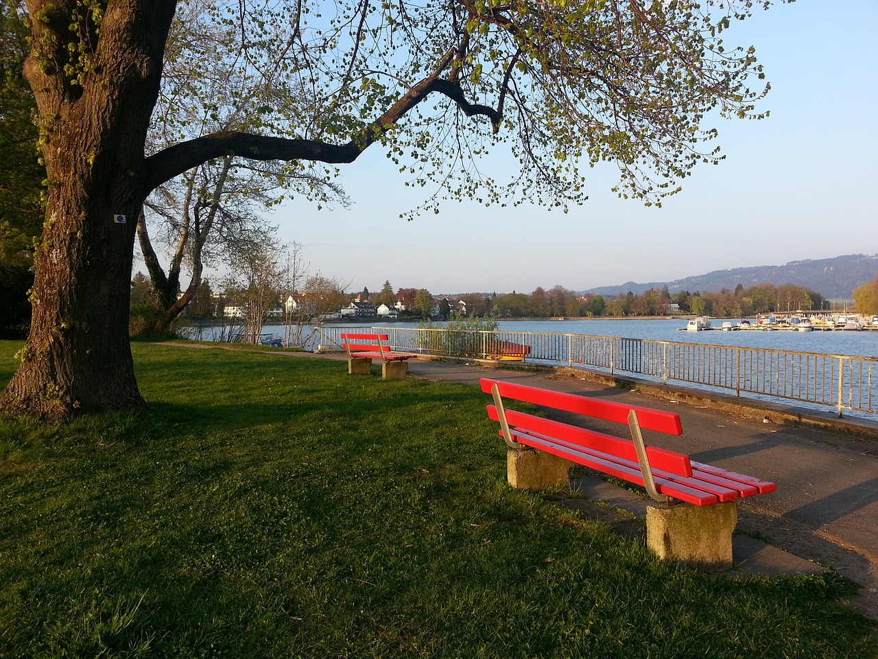 受期待的新 受期待的新